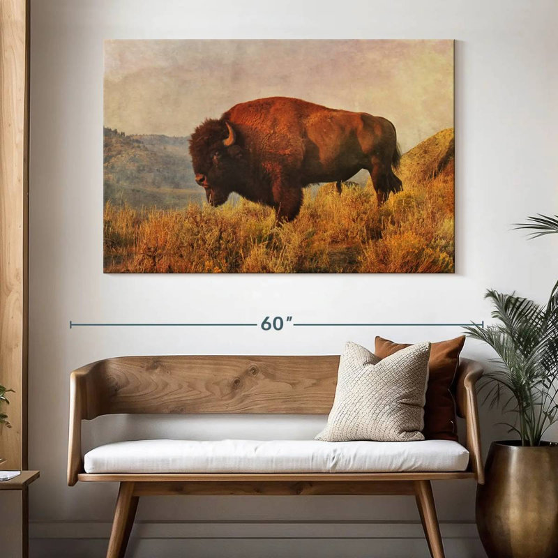 Bison sauvage sur le terrain, H 34 po x l 51 po