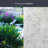 Elderberry Window Film 36" x 72"