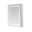 Charlyne LED 3x Magnifying Mirror-1264464574