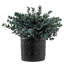 Faux plantes artificielles bleu eucalyptus en pot