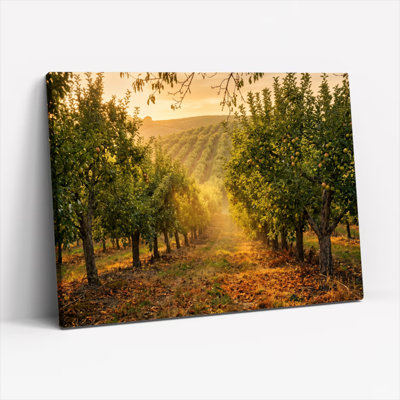 Ensemble de 1 tableau sur toile « Verger au coucher du soleil »