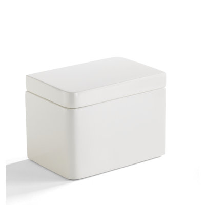 Locklin Bathroom Storage Container