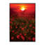 « chaleureux coucher de soleil » par marco carmassi-reproduction de photo-49715844-49715858
