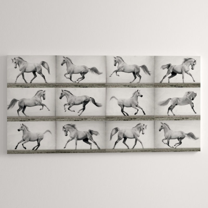 Horses In Motion Print by Sofia Fox, Glass Coat, 40" H x 80" W