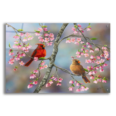 «Spring Cardinals» par Sarah Davis - impression non encadrée