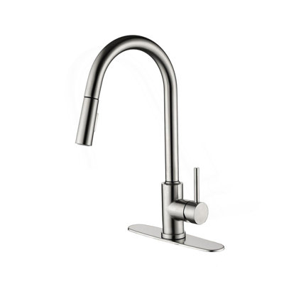 Kitchen Faucet With Pull Down Sprayer
