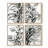 Kelp Contour I Framed Print - Set of 4-413166252-413166249