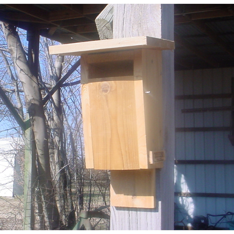 Hortencia Sparrow Resistant Bluebird House