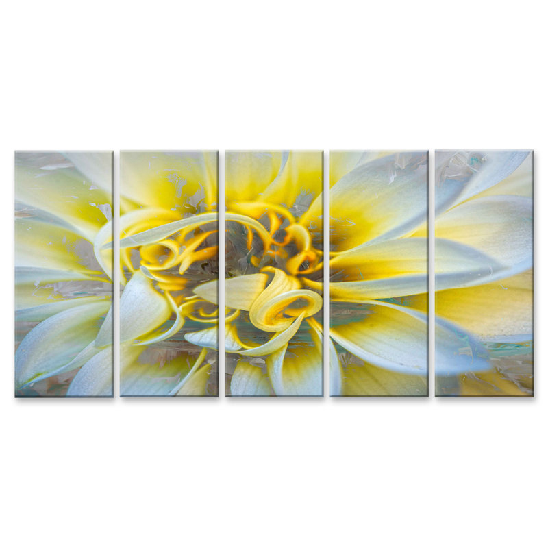 « painted pétales xxxvii », ensemble de 5 reproductions d’impressions sur toiles tendues