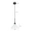 1 - Light Black Pendant