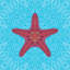 « starfish », impression sur toile tendue-22683569-72687588-72699052
