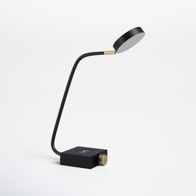 Eltisley Metal USB Desk Lamp