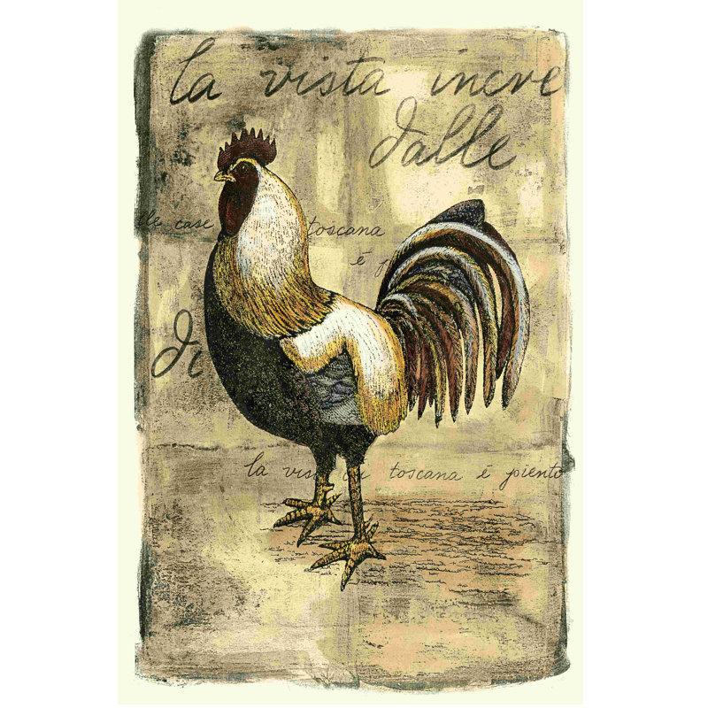 Coq Toscane II (MP), H 30 po x l 20 po