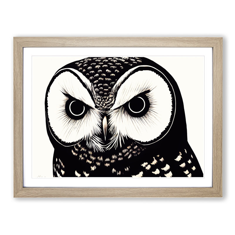 Desirable Owl - Single Picture Frame Print, 34cm H x 46cm W, Oak