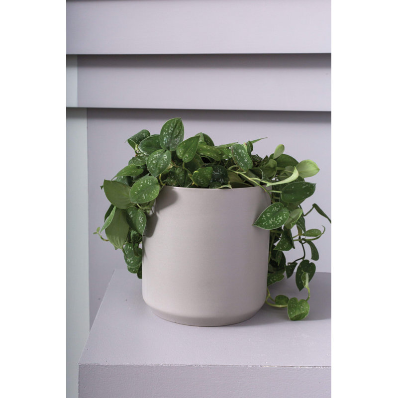 Parsons Handmade Ceramic Pot Planter, Gray, 2.75" H x 3.25" W x 3.25" D