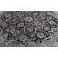 Wool Oriental Area Rug in Black/Light Green