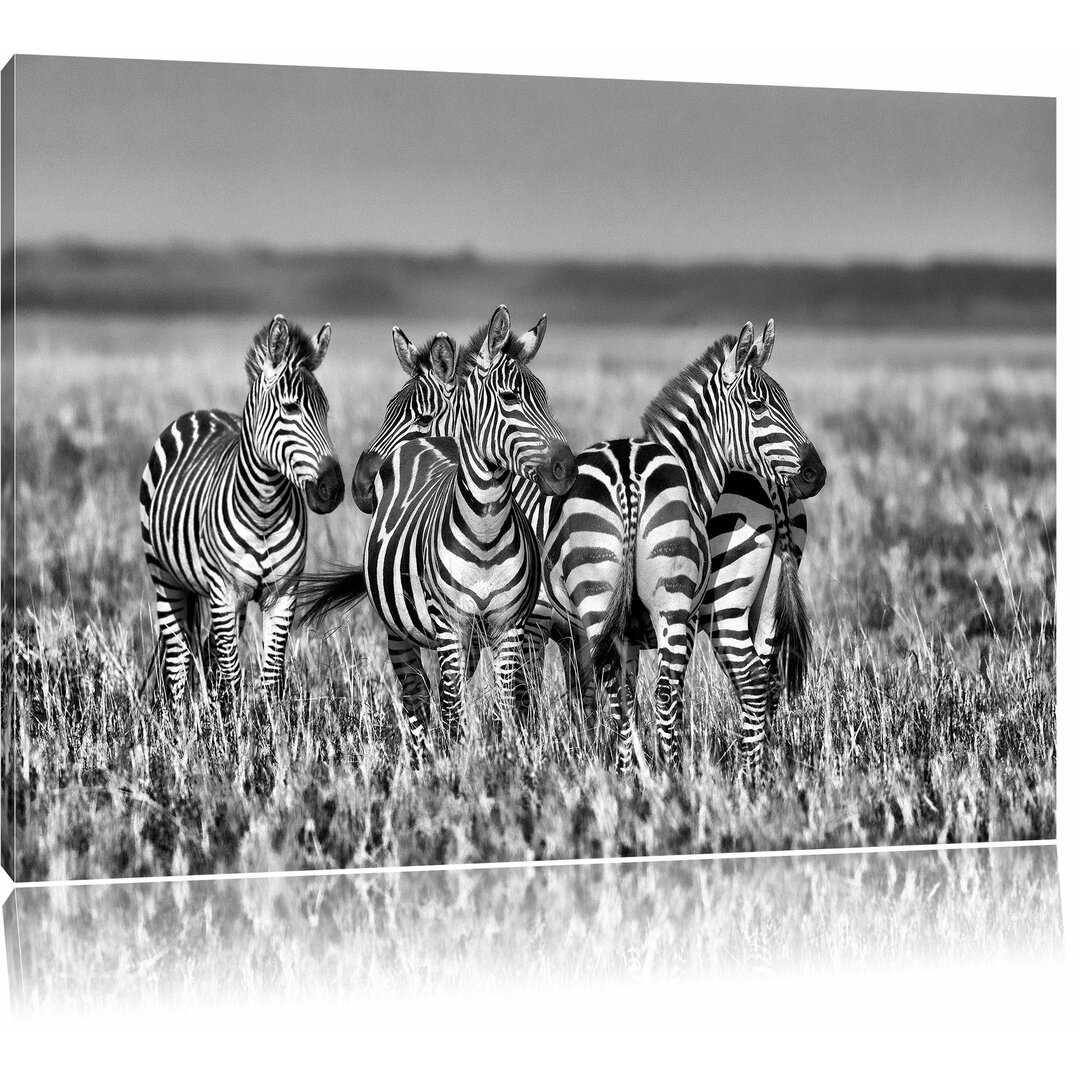 Leinwandbild Kleine Zebrahorde in Monochrom