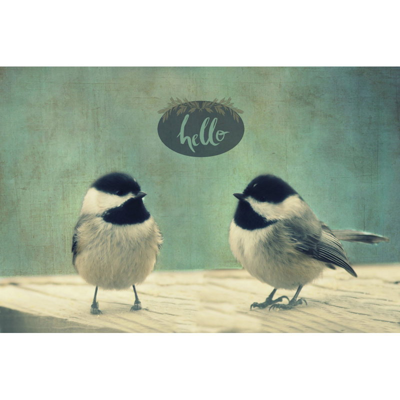 « hello oiseaux 2 » par robin, reproduction d’art sur toile tendue, H 40 po x l 60 po x P 1,5 po