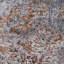 Runner Alvernon Abstract Cotton Area Rug-504517764