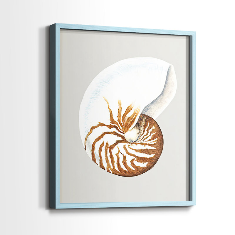 Nautilus - reproduction encadrée de qualité supérieure - prête à être accrochée - aucun clou requis - aucun clou requis, Bleu