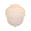Novelty Lamp Shade