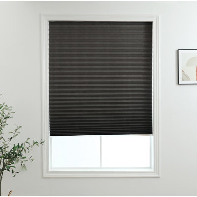 Blackout Roller Shade