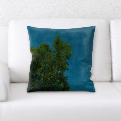 Coussin décoratif