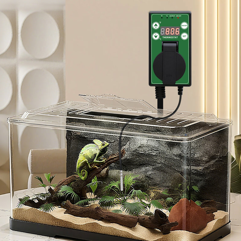 Ensemble de 2 contrôleurs thermostatiques à tapis chauffant pour la germination des graines, l'enracinement, les reptiles et l'infusion, noir