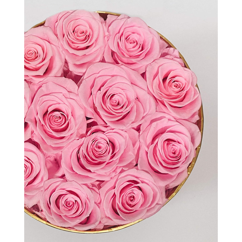 Preserved Natural Rose Rose Arrangement in Pot, Pink