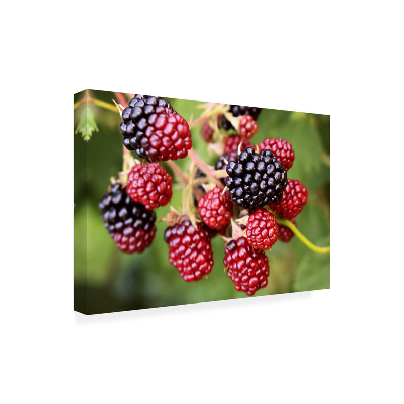 Cuisine sur toile, Cuisine 92, H 12 po x l 19 po x P 2 po
