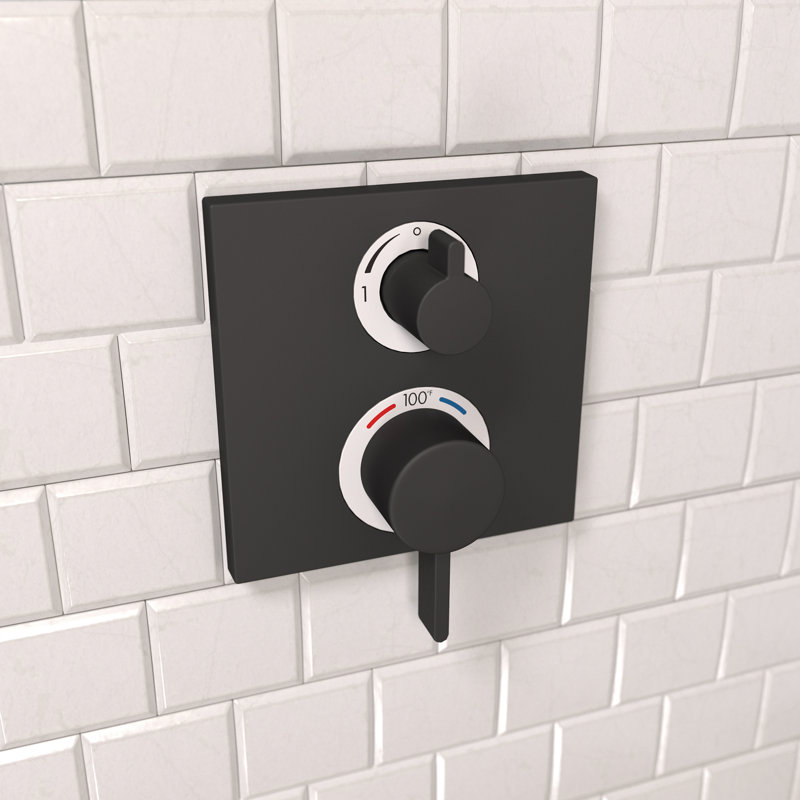 Garniture de robinet de douche thermostatique Ecostat, Noir mat