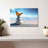 Butterfly Serenity-107699555