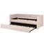 Airianna Upholstered Daybed with Trundle-1103268645