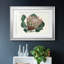 Protea N70, reproduction encadrée de qualité supérieure - prête à être accrochée-351619400-351619405