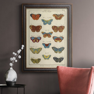 " Histoire Naturelle Butterflies I "