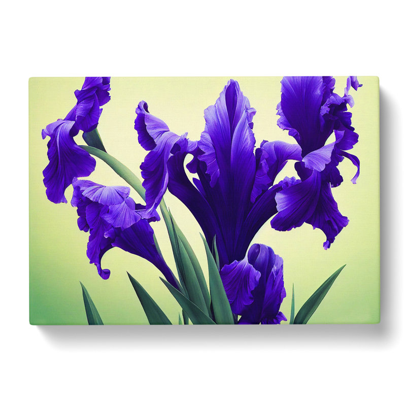 Evolving Iris Flowers - Wrapped Canvas