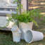 Planter-15159677