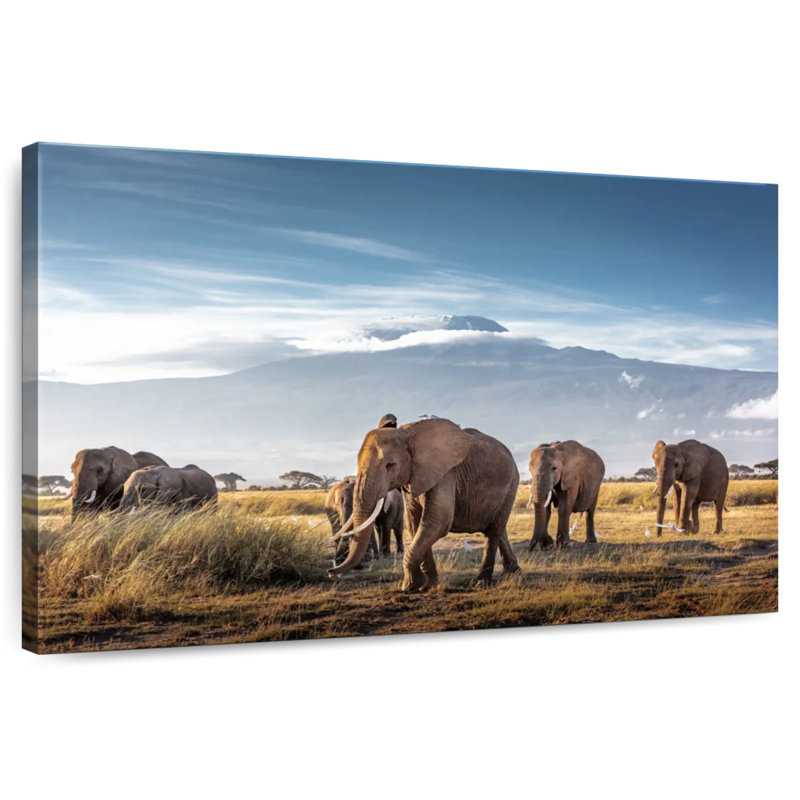 Brampt Kilimanjaro Elephants
