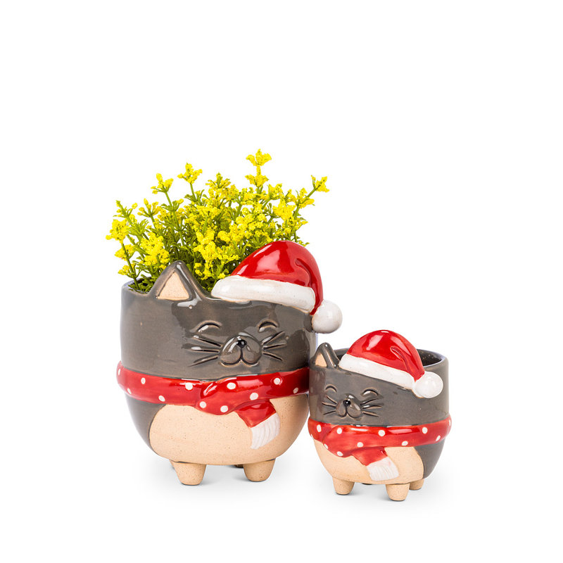 Pot à fleurs en céramique Adamson, H 3,5 po x l 3 po x P 3 po