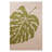 Rhoda Hand Tufted Wool Eco-Friendly Area Rugs - Rectangle, Beige Green Color | Floral Design | Area Rugs for Living room, Bedroom-112312516