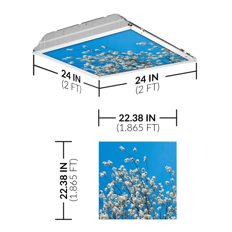 Tree Square Fixture Component Ceiling Light