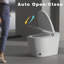 Toilette intelligente sans réservoir avec bidet intégré