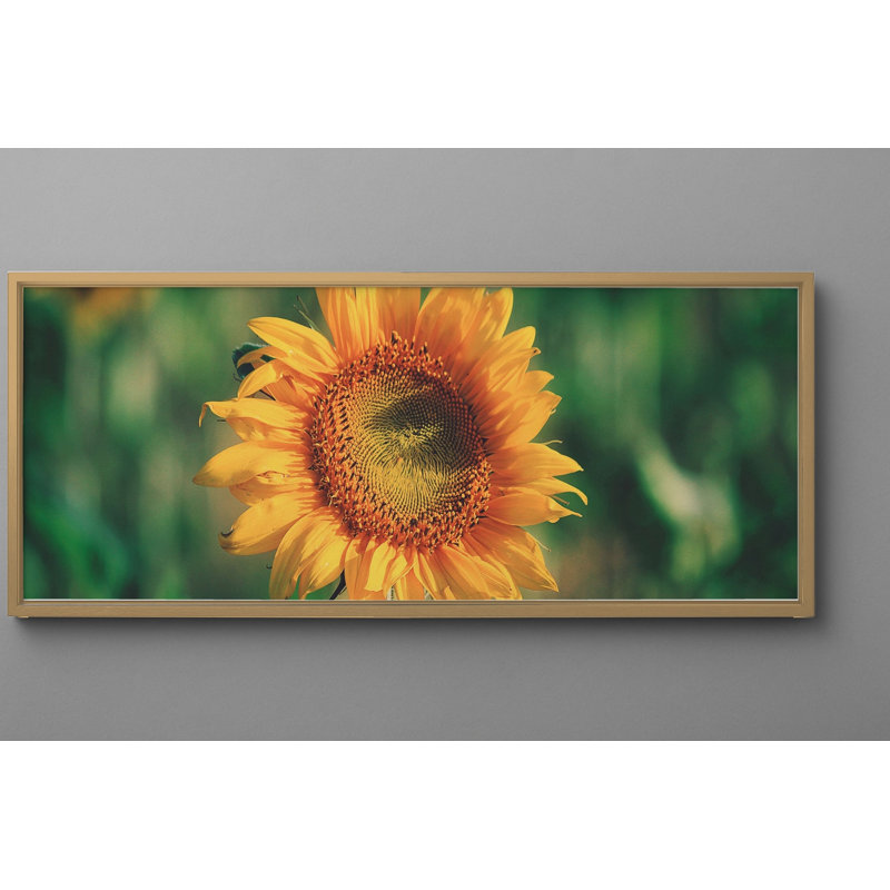Print, 11.75" H x 31.75" W, Natural Oak