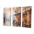 Toile tendue