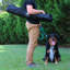 Lord Anson Dog Agility Weave Poles - Ensemble de poteaux de tissage Agility
