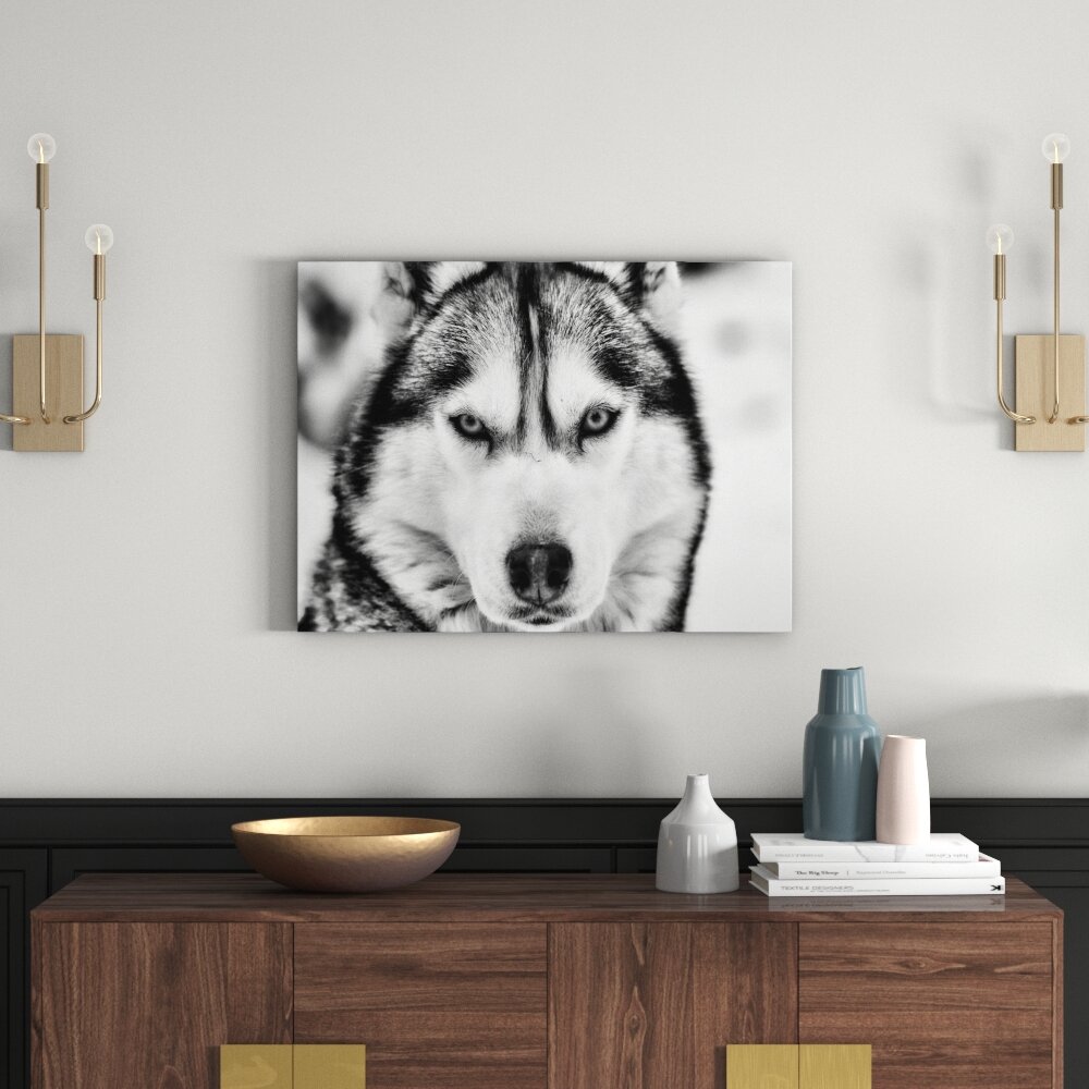 Leinwandbild Husky in Monochrom