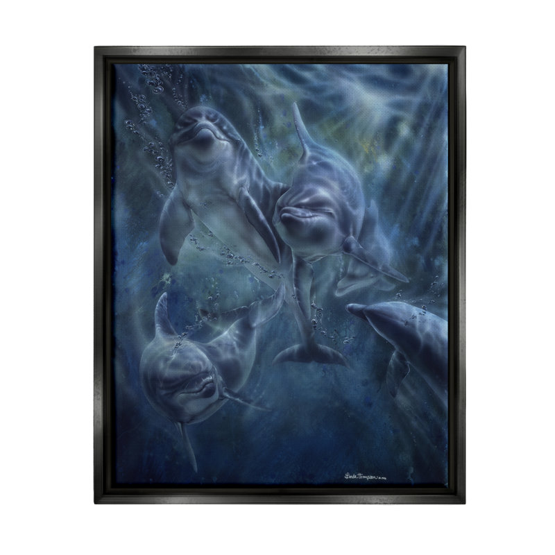 Dovecove Aquatic Dolphins, H 21 po x l 17 po x P 1,7 po, Cadre flottant noir de jais