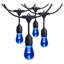 48 Foot LED String Light 15-S14 Lamps Medium Base RGBTW Infrared Remote Black 120V