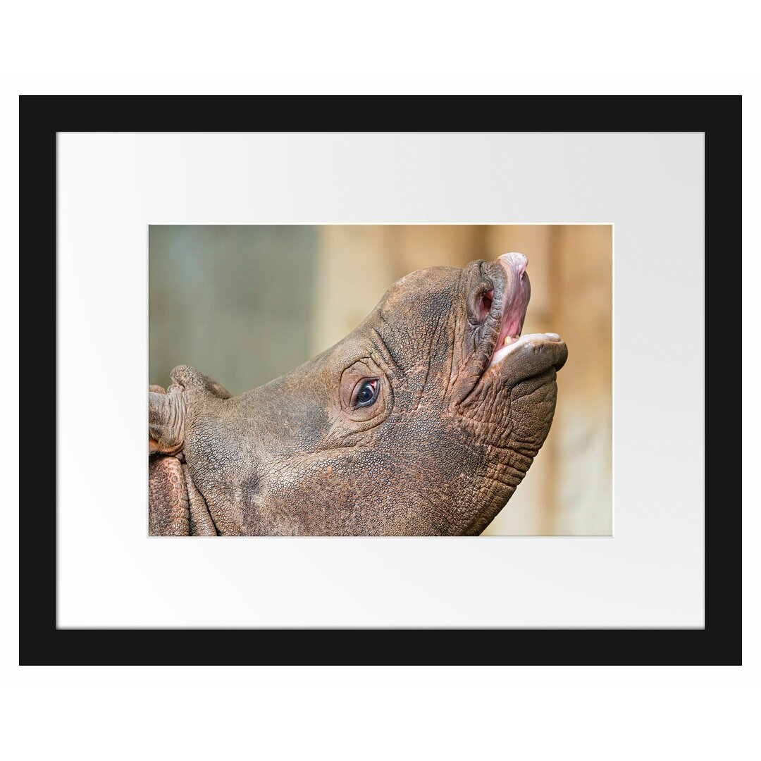 Gerahmtes Poster Kleines Nashorn