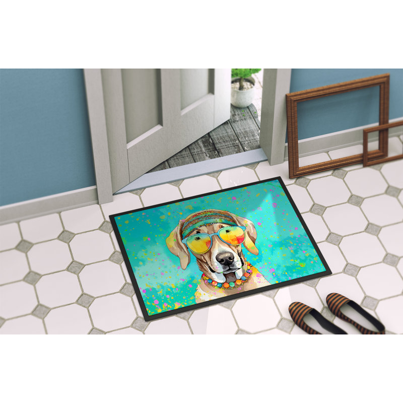 Laileigh Non-Slip Doormat